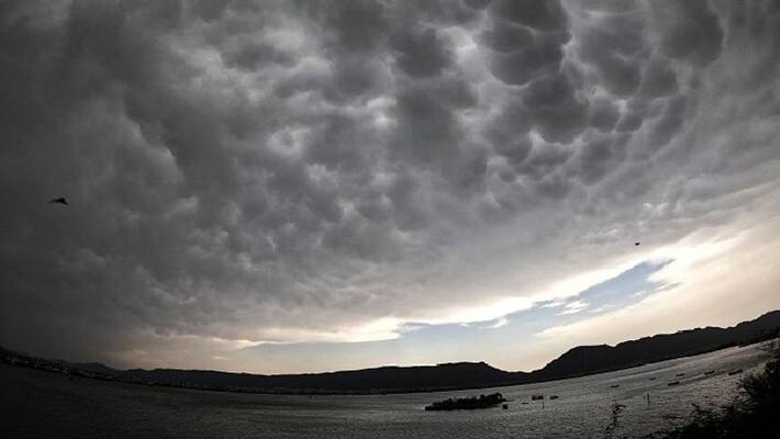 Cyclone Mandous: IMD issues rain alert for Tamil Nadu, Andhra Pradesh, Puducherry; check details - adt Cyclone Mandous: IMD issues rain alert for Tamil Nadu, Andhra Pradesh, Puducherry; check details - adt
