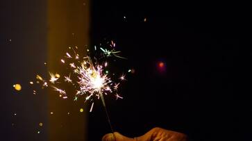 Diwali 2023 These states have banned bursting selling crackers this festival gcw Diwali 2023 These states have banned bursting selling crackers this festival gcw