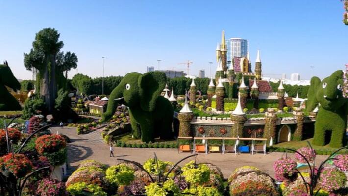 Dubai miracle garden attracts visitors with more than 15 crore flowers Dubai miracle garden attracts visitors with more than 15 crore flowers