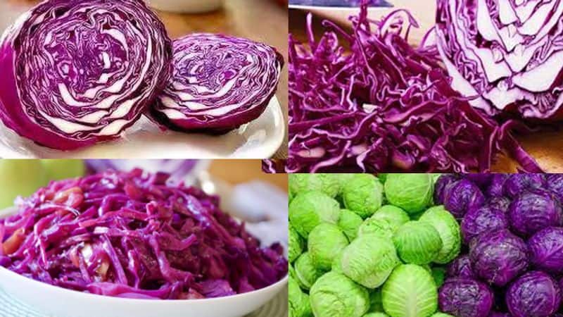 Cabbage for digestive and heart health Know other health benefits