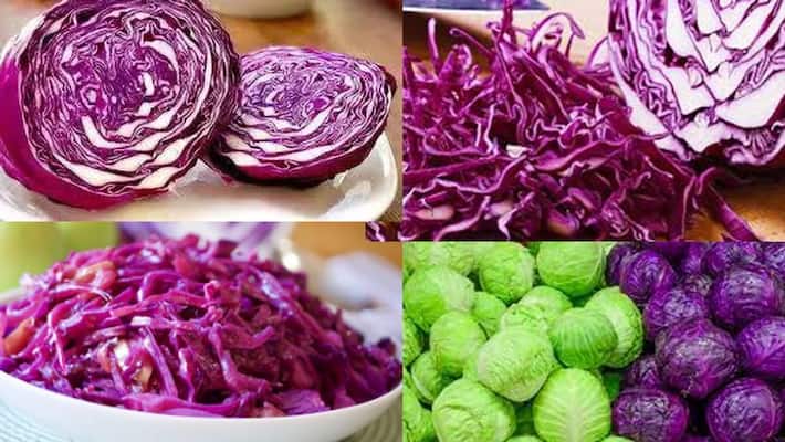 Cabbage is beneficial for our health in many ways say experts Cabbage is beneficial for our health in many ways say experts