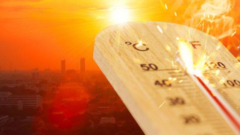 Fifty five Increase in Heat Related Deaths in India New Lancet Study Finds