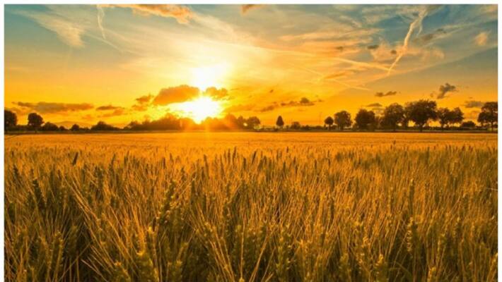 what are the importance of pathamudayam what are the importance of pathamudayam
