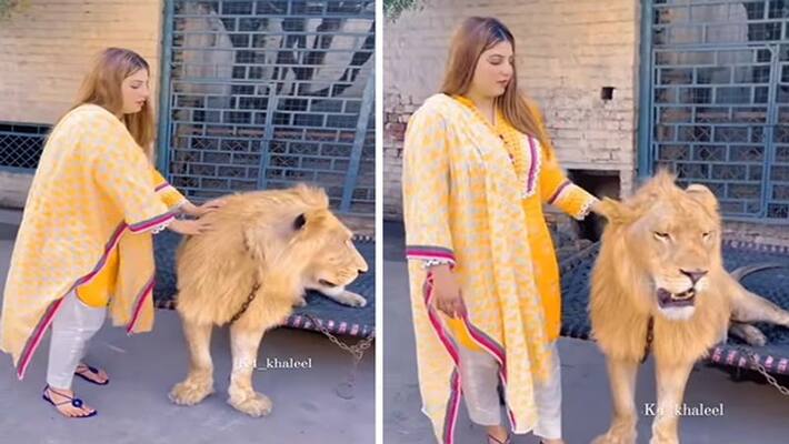 Viral video of a woman cuddling his pet lion, see here dva Viral video of a woman cuddling his pet lion, see here dva