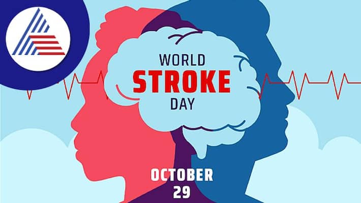 World Stroke Day 2022: Date, Theme, History, significance and Importance Vin World Stroke Day 2022: Date, Theme, History, significance and Importance Vin