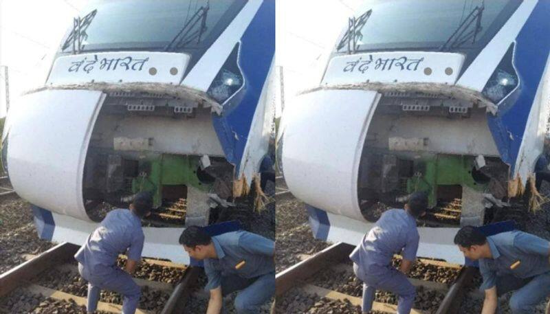 Third incident this month as Gandhinagar bound Vande Bharat train strikes animals in Gujarat,