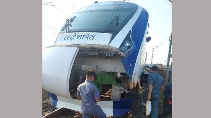 Vande Bharat: WR will spend Rs 264 crore to build fences along the Mumbai-Ahmedabad route to prevent animal collisions. Vande Bharat: WR will spend Rs 264 crore to build fences along the Mumbai-Ahmedabad route to prevent animal collisions.