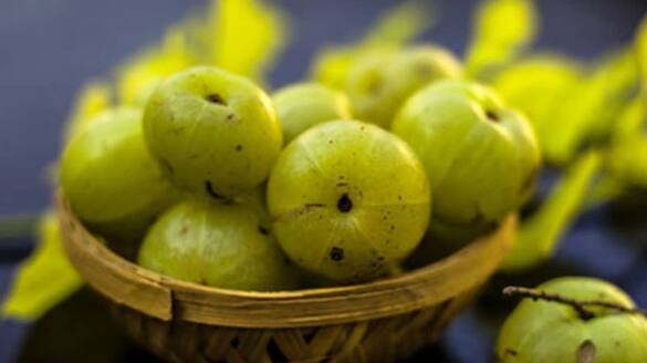 amla can be beneficial for cholesterol control hyp