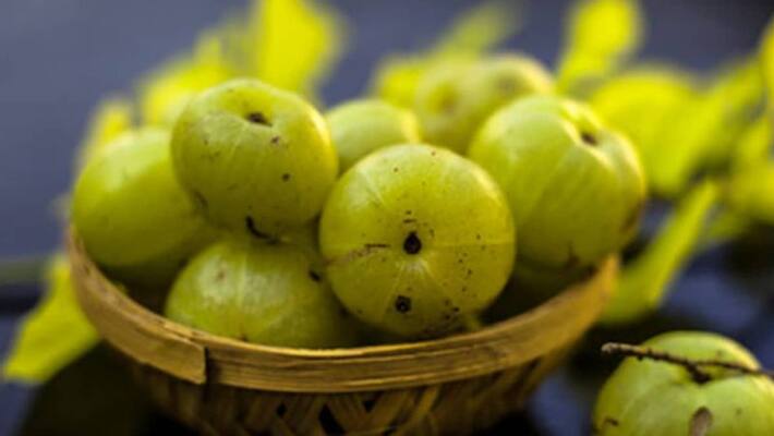 how to use amla for hair growth how to use amla for hair growth
