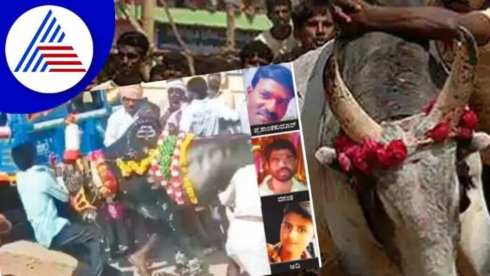 Three dead in bull bullying competition at shivamogga rav Three dead in bull bullying competition at shivamogga rav
