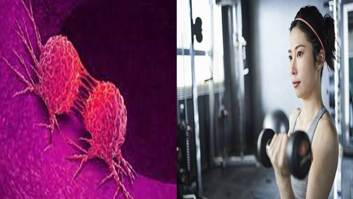 Exercise Prevents the Risk of Cancer says study NTP Exercise Prevents the Risk of Cancer says study NTP