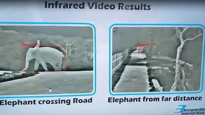 artificial intelligence based device made in india to prevent trains from hitting animals artificial intelligence based device made in india to prevent trains from hitting animals