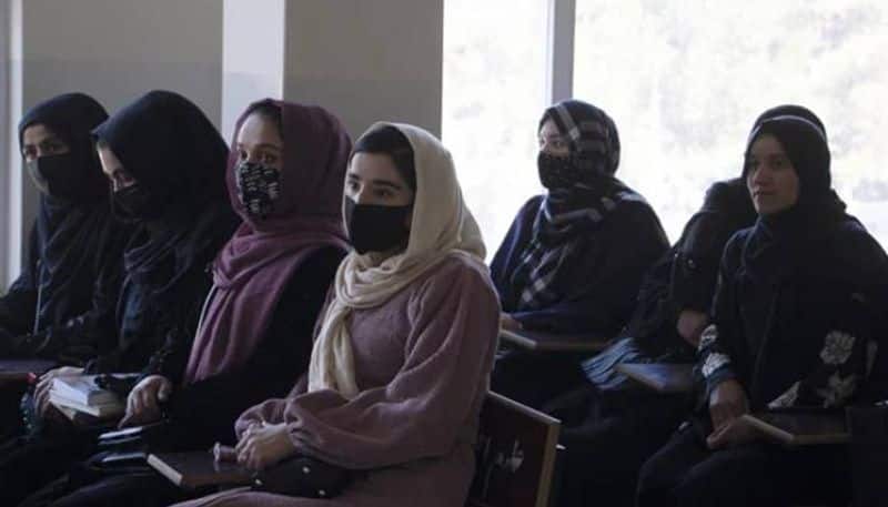 80 Afghan girls hospitalised after being poisoned at schools: Report