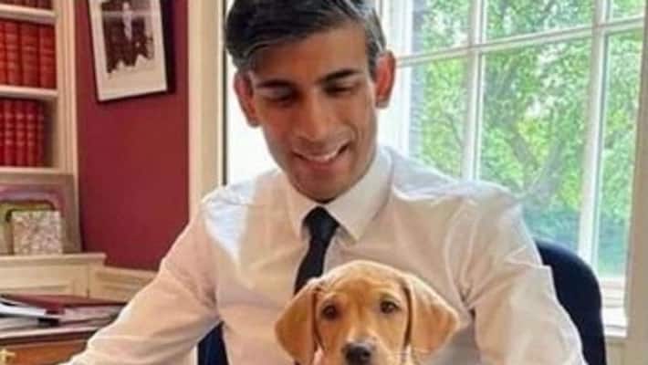 Rishi Sunak shuts Pak-origin MP; defends PM Modi in BBC documentary row AJR Rishi Sunak shuts Pak-origin MP; defends PM Modi in BBC documentary row AJR