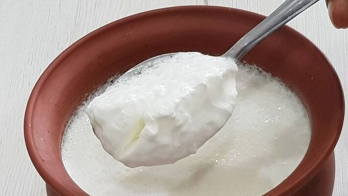 benefits of curd for hair care benefits of curd for hair care