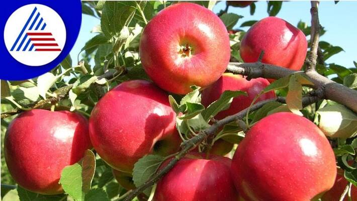 Know about some of these low sodium foods Know about some of these low sodium foods