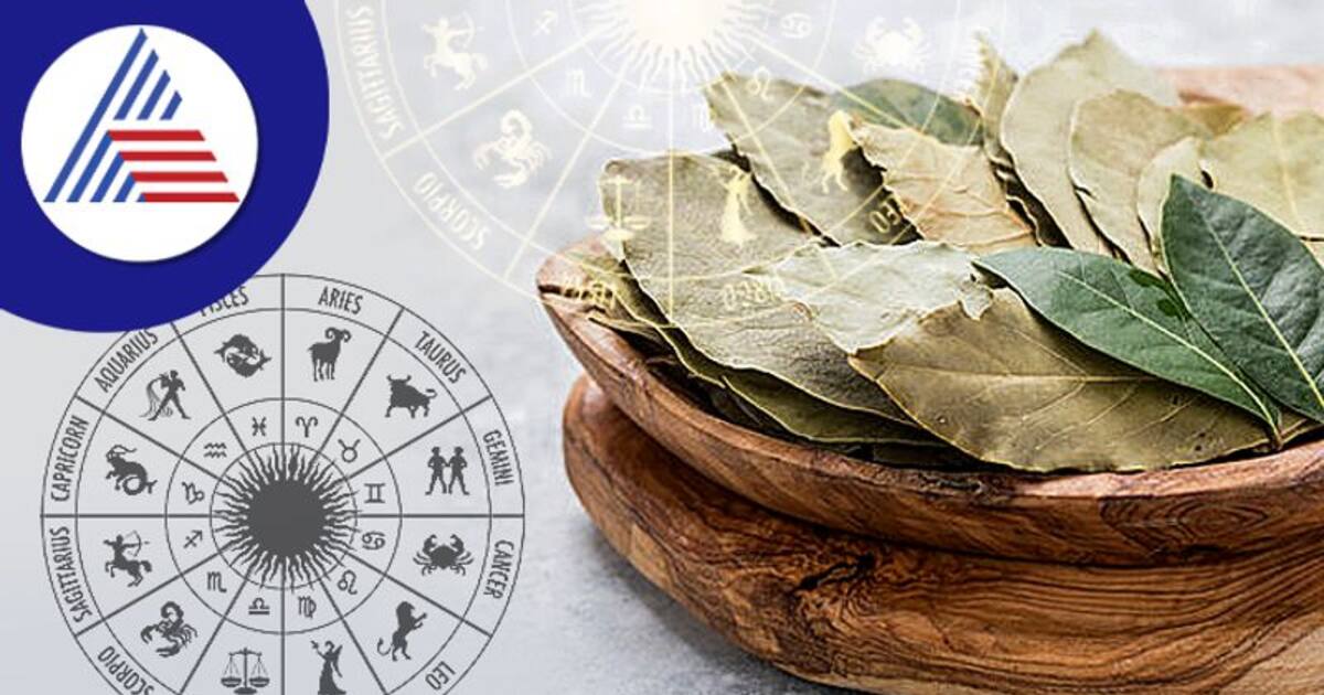 பிரியாணி இலையில் எழுதுற விஷயங்கள் அப்படியே நடக்குமா? மசாலா பொருள்களின் மகிமைகள் இதோ! 