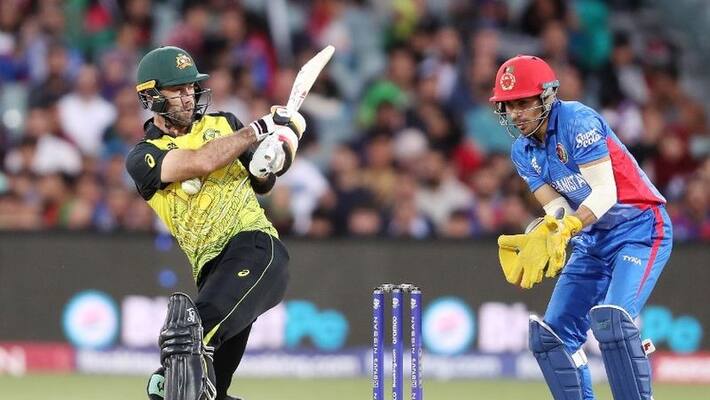 t20 world cup 2022 australia wins over afghanistan hopes alive for semifinal mda t20 world cup 2022 australia wins over afghanistan hopes alive for semifinal mda