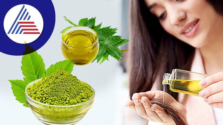 Hair Care Tips: Don't do these mistakes while applying Hair Oil Hair Care Tips: Don't do these mistakes while applying Hair Oil