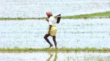 Anticipated rains to ease Monsoon woes for Karnataka Farmers Anticipated rains to ease Monsoon woes for Karnataka Farmers