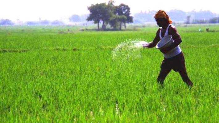 more than 33 thousand farmers have taken crop insurance in extended time for crop insurance more than 33 thousand farmers have taken crop insurance in extended time for crop insurance