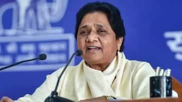 Neither NDA nor Oppn alliance: BSP to fight Lok Sabha polls alone says Mayawati Neither NDA nor Oppn alliance: BSP to fight Lok Sabha polls alone says Mayawati