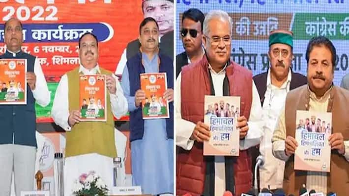 Himachal Pradesh Assembly Election 2022 bjp leader anurag thaku congress leader priyanka gandhi vadra slams each other apa Himachal Pradesh Assembly Election 2022 bjp leader anurag thaku congress leader priyanka gandhi vadra slams each other apa