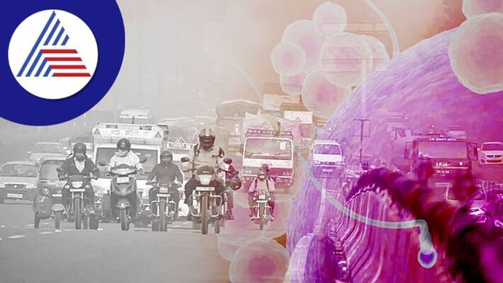 High Pollution Levels Can Increase Risk Of Sperm Damage And Miscarriage Vin High Pollution Levels Can Increase Risk Of Sperm Damage And Miscarriage Vin