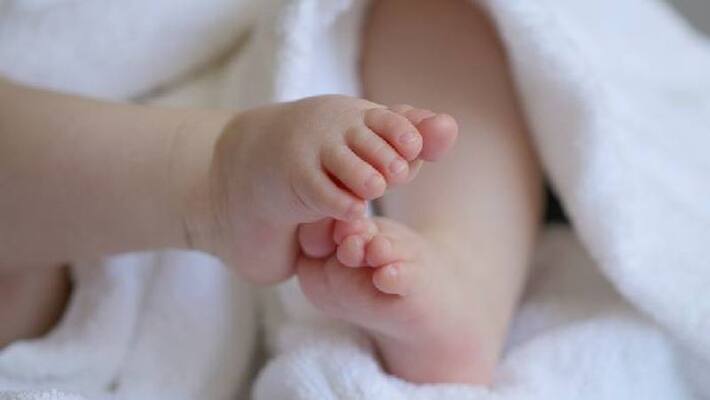 population to reach eight million population to reach eight million