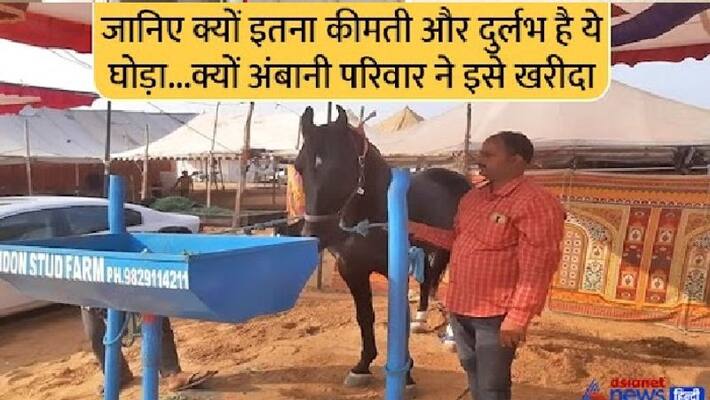 pushkar fair 2022 this horse is Mukesh Ambani family bought for crores know what is so special about it kpr pushkar fair 2022 this horse is Mukesh Ambani family bought for crores know what is so special about it kpr