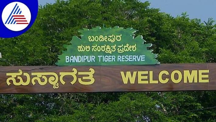 50th Celebration for Bandipur Tiger Reserve in Chamarajanagara grg 50th Celebration for Bandipur Tiger Reserve in Chamarajanagara grg