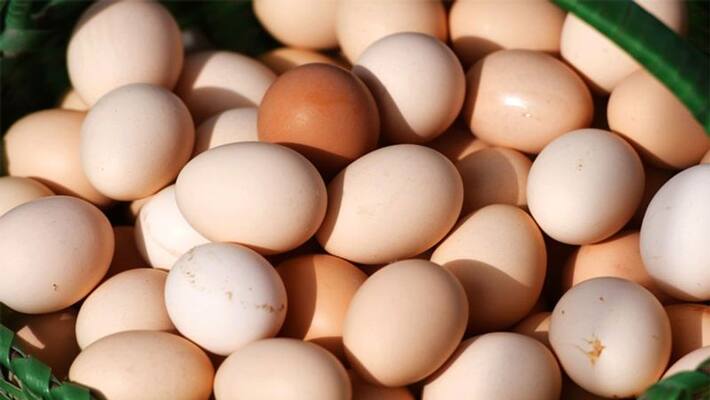 Eggs must be eaten at this age otherwise the stomach will not be strong Eggs must be eaten at this age otherwise the stomach will not be strong