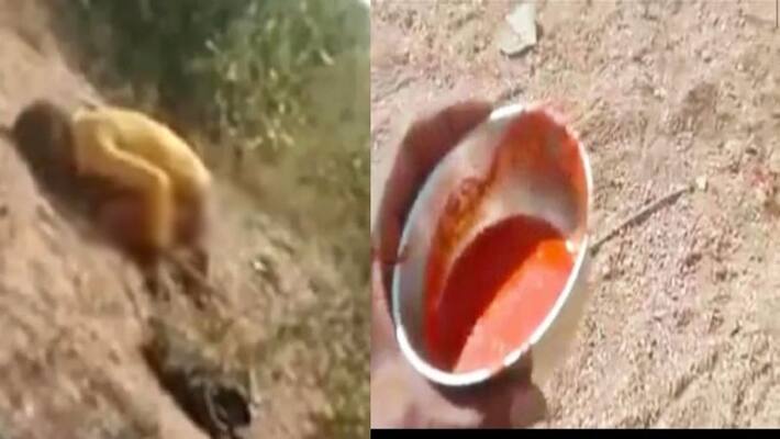 bhilwara crime news man create ruckus in girl friend marriage her family member beat him asc bhilwara crime news man create ruckus in girl friend marriage her family member beat him asc