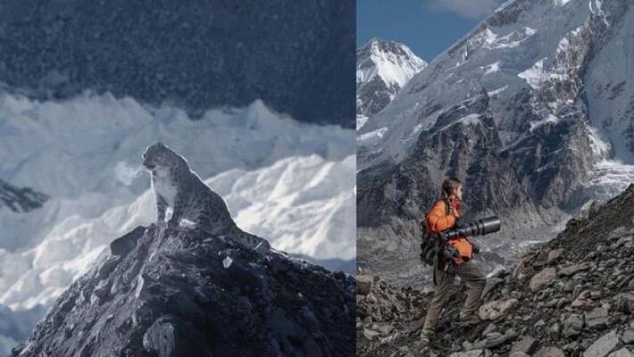 US based photographer captured snow leopard after trekking 165km US based photographer captured snow leopard after trekking 165km