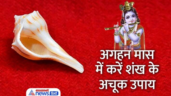 Aghan month 2022 Aghan month remedies Shankh Ke Upay money benefits astrology MMA Aghan month 2022 Aghan month remedies Shankh Ke Upay money benefits astrology MMA
