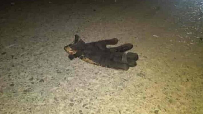 shocking accident, three people were killed and sixteen others injured in an accident between two buses in Kathua district KPA shocking accident, three people were killed and sixteen others injured in an accident between two buses in Kathua district KPA