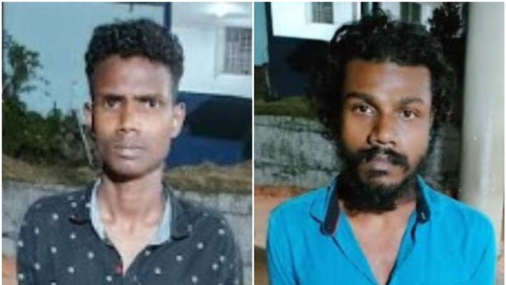 Sandalwood trees by the roadside After the investigation, two youths were arrested Sandalwood trees by the roadside After the investigation, two youths were arrested