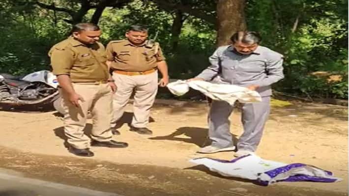 Jhansi People were shocked to see painful scene dog was carrying newborn in mouth one leg was also missing Jhansi People were shocked to see painful scene dog was carrying newborn in mouth one leg was also missing