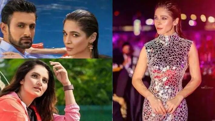 Pakistani actress Ayesha Omar behind Sania Mirza-Shoaib Malik divorce Pakistani actress Ayesha Omar behind Sania Mirza-Shoaib Malik divorce
