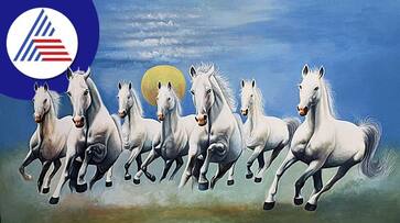 according to vastu the benefits of 7 running horses photo in the house according to vastu the benefits of 7 running horses photo in the house