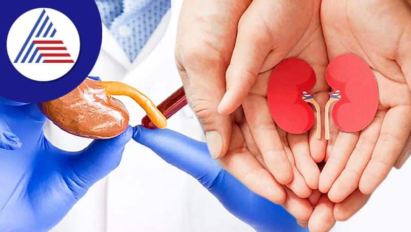 Hyderabadi student attempts to sell kidney after being conned out of Rs 16 lakh
