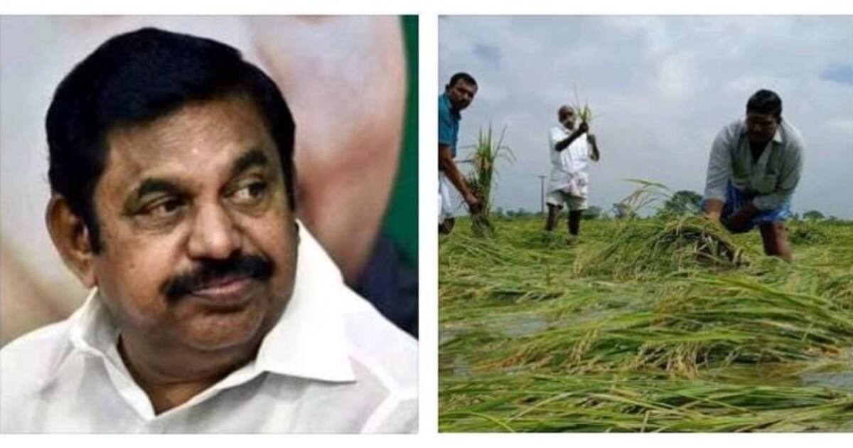 பெற்ற குழந்தைபோல் வளர்த்த பயிர்களை இழந்து வேதனையில் தவிக்கும் விவசாயிகள்.! இழப்பீடு வழங்க இபிஎஸ் கோரிக்கை