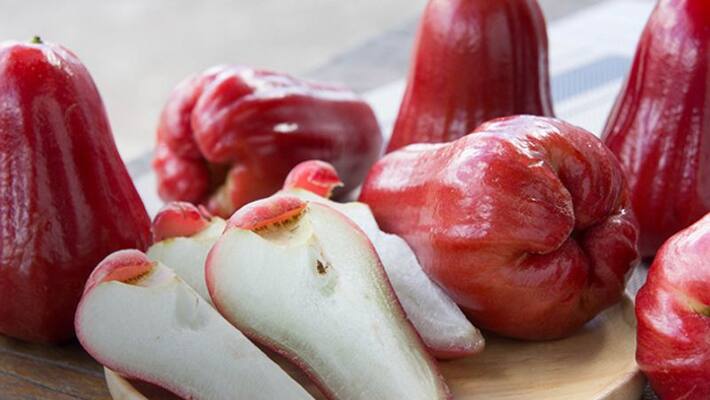 people with type 2 diabetes consume rose apple people with type 2 diabetes consume rose apple