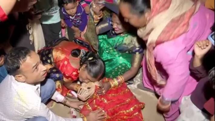 Gurugram couple conducts full marriage rituals for their pet dogs sheru and sweety Gurugram couple conducts full marriage rituals for their pet dogs sheru and sweety