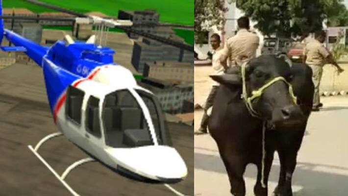 interesting news of alwar Buffalo dies due to helicopter flying in the sky kpr interesting news of alwar Buffalo dies due to helicopter flying in the sky kpr