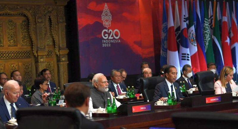 PM Modi at G20: Resilient supply chains for food, fertilisers and energy are critical