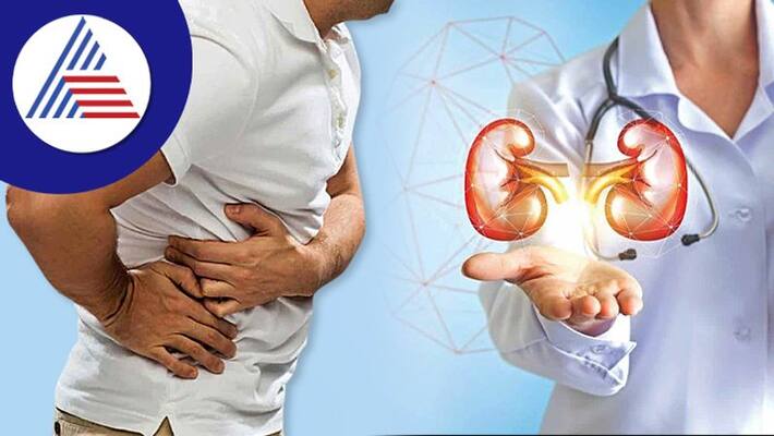 What Happens With Damaged Kidney After Successful Kidney Transplant What Happens With Damaged Kidney After Successful Kidney Transplant