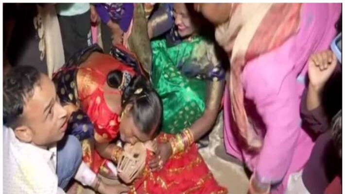 viral video of sheru and sweety pet dogs viral video of sheru and sweety pet dogs