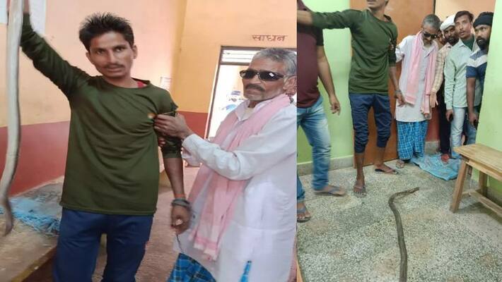 Doctor Shocks after Man came to hospital with snake which bite him at Uttar pradesh akb Doctor Shocks after Man came to hospital with snake which bite him at Uttar pradesh akb