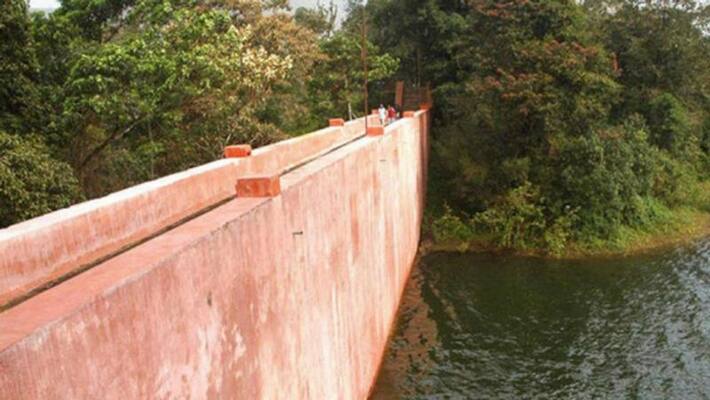 TN moves Supreme court to cut 15 trees near Mullapperiyar Baby Dam TN moves Supreme court to cut 15 trees near Mullapperiyar Baby Dam